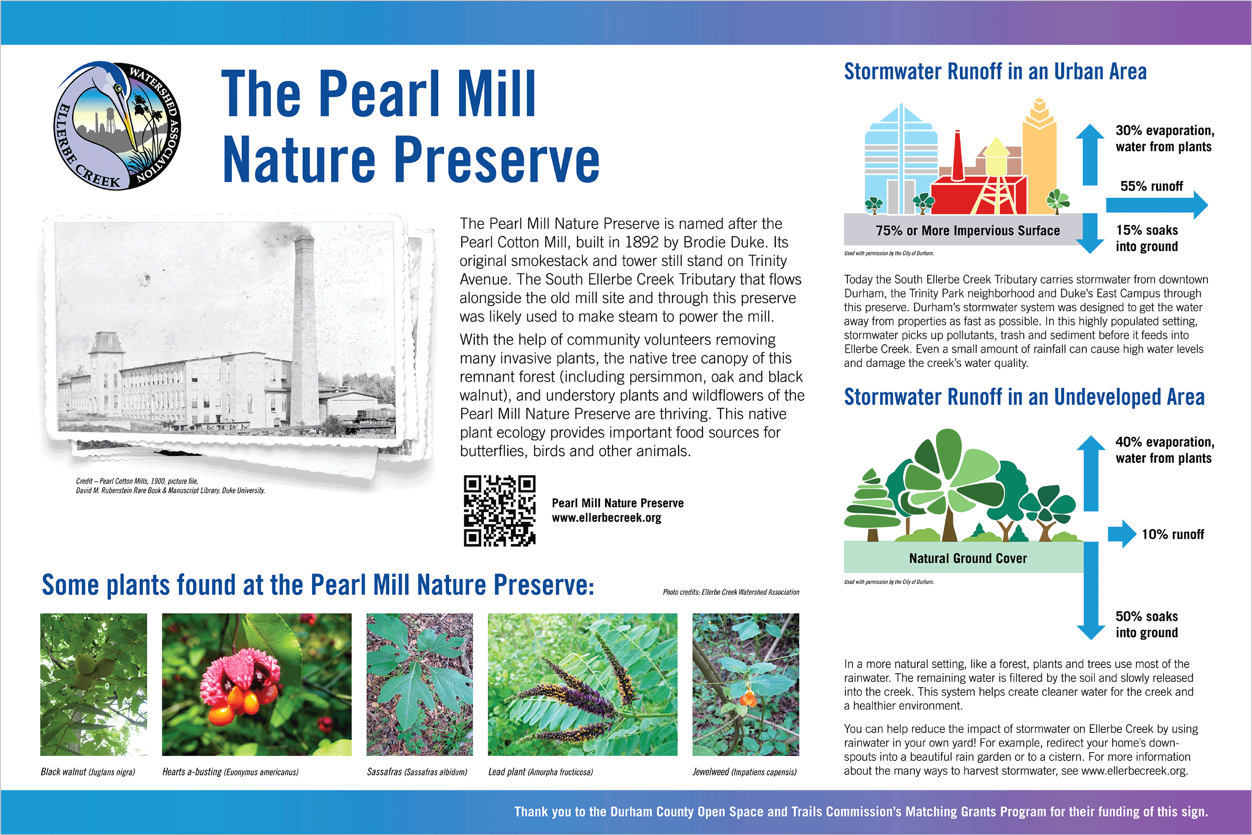 Poster design by Virtual Apiary for Ellerbe Creek Watershed Association