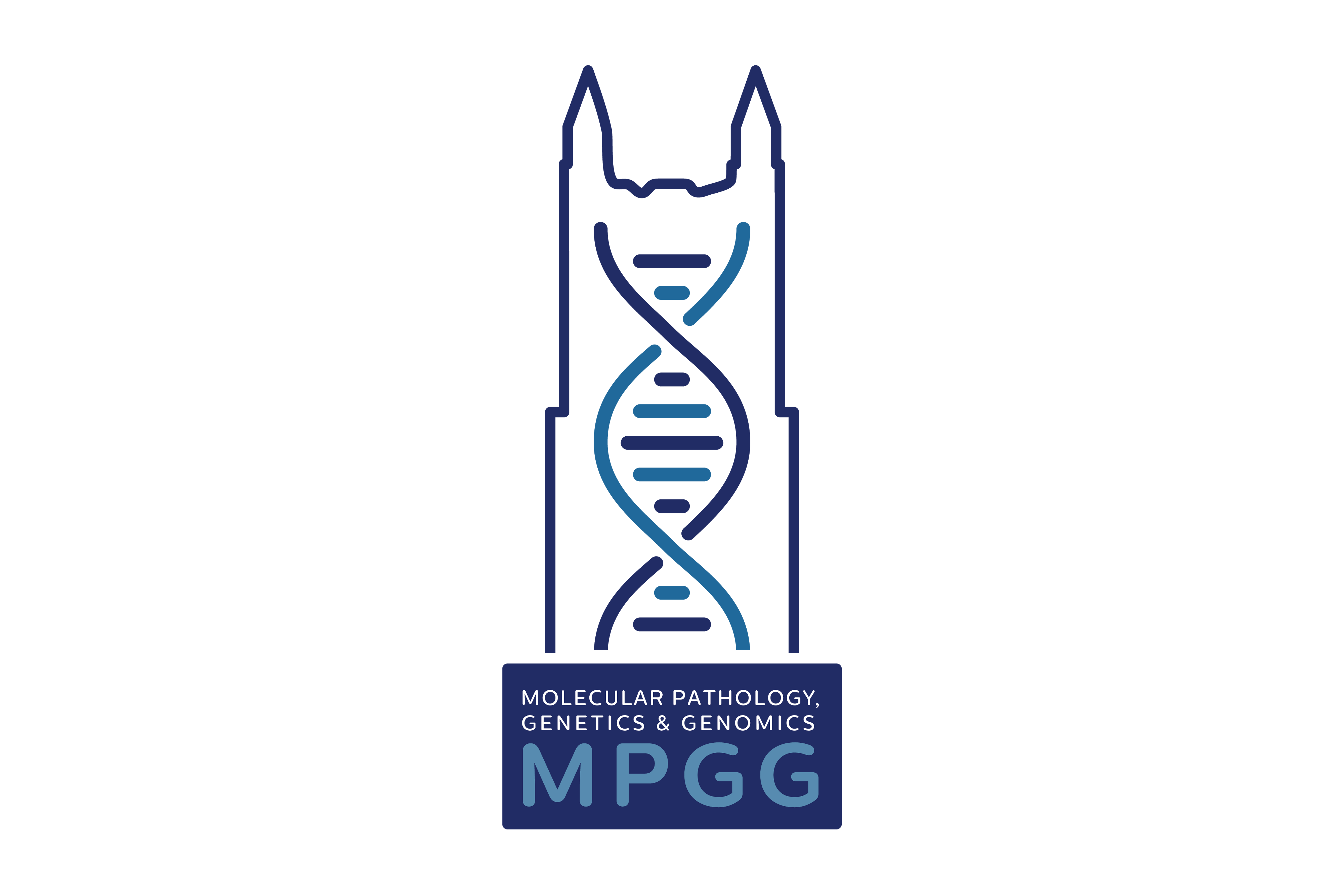 Logo design by Virtual Apiary for MPGG